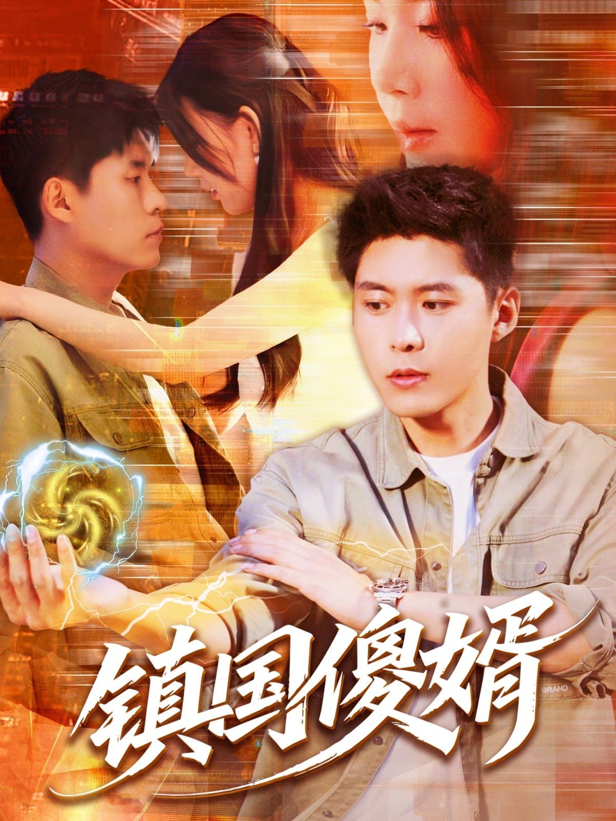 镇国傻婿(全集)