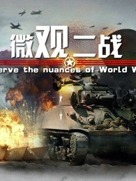 微观二战(全集)