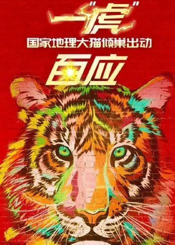 一“虎”百应(全集)