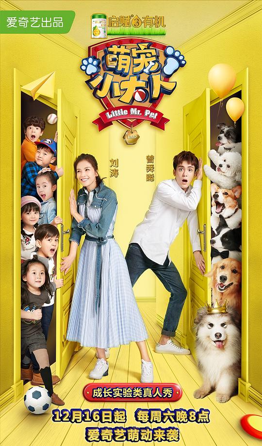 萌宠小大人第20180210期