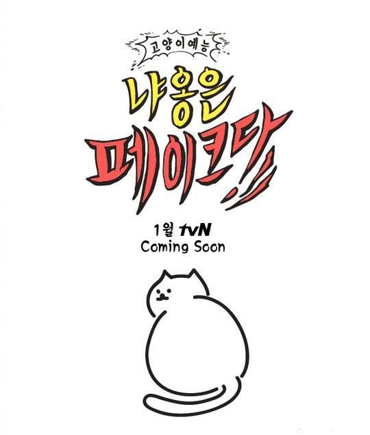 喵是假的第01期