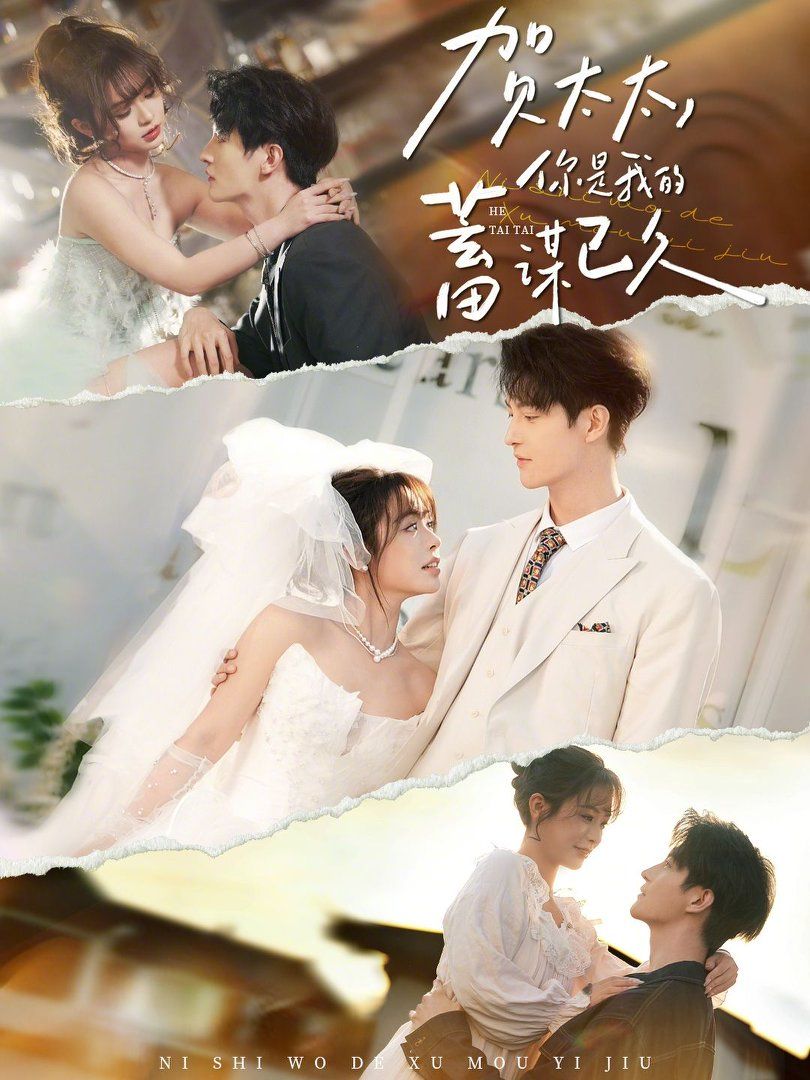 贺太太，你是我的蓄谋已久(全集)